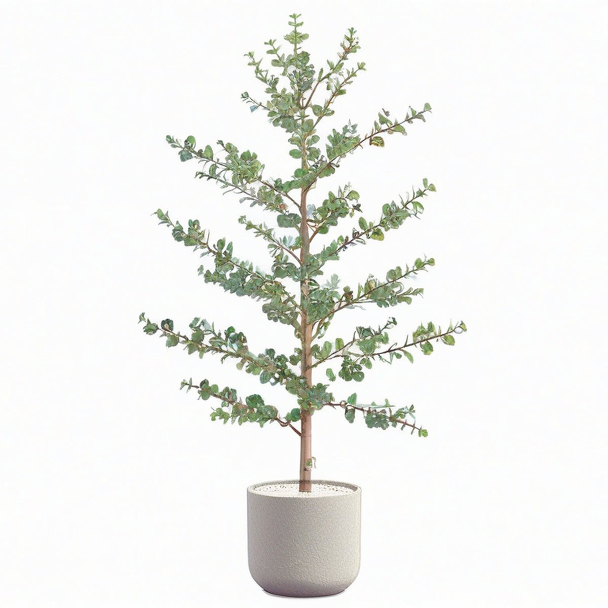 Plante artificielle eucalyptus 180 cm feuillage vert en pot ciment pour intérieur