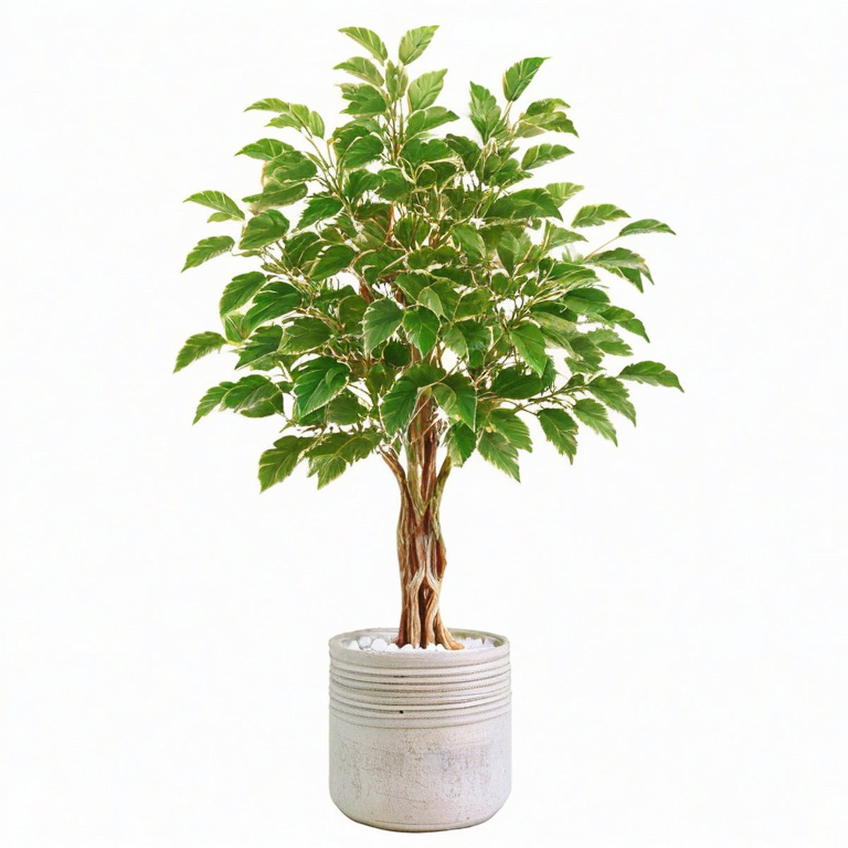 Plante artificielle ficus 180 cm en plastique vert avec pot en ciment pour intérieur