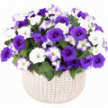 Plante artificielle en pot 35 cm pétunias violet blanc feuillage vert décoration intérieure