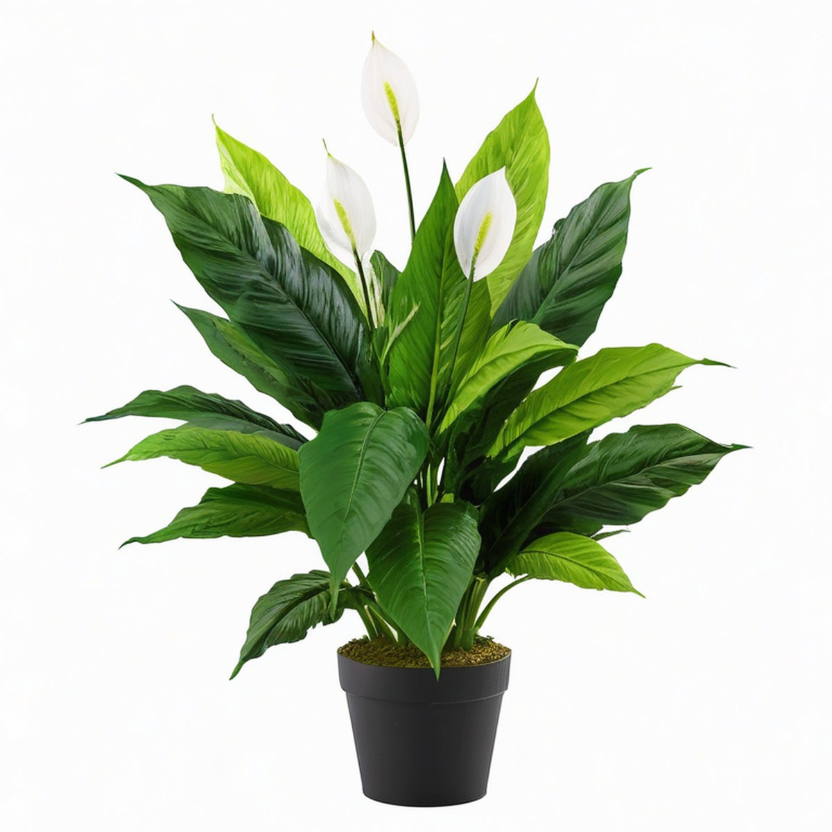 Plante artificielle en pot 90 cm feuillage vert fleurs blanches décoration intérieure